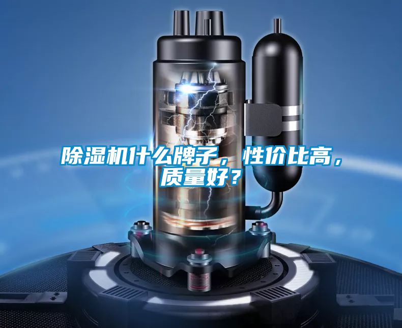 除濕機(jī)什么牌子,性價(jià)比高,質(zhì)量好?