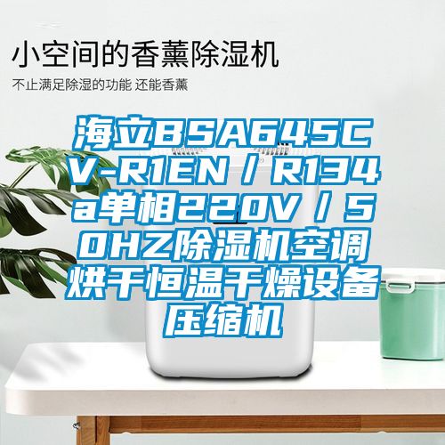 海立BSA645CV-R1EN/R134a單相220V/50HZ除濕機空調烘干恒溫干燥設備壓縮機