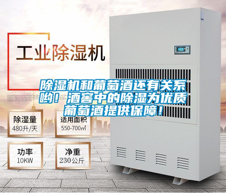 除濕機和葡萄酒還有關(guān)系喲!酒窖中的除濕為優(yōu)質(zhì)葡萄酒提供保障!