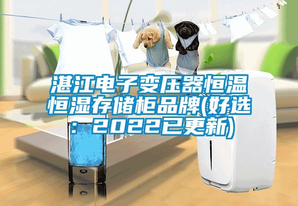 湛江電子變壓器恒溫恒濕存儲柜品牌(好選:2022已更新)