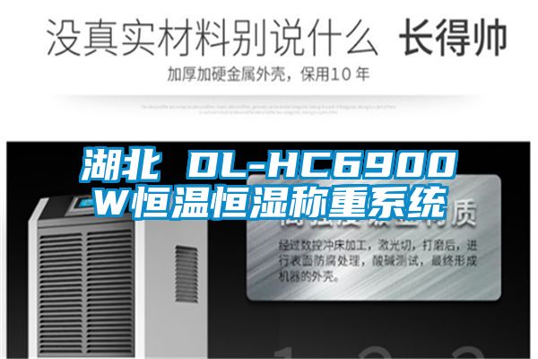 湖北 DL-HC6900W恒溫恒濕稱重系統