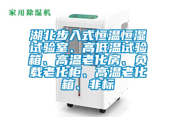 湖北步入式恒溫恒濕試驗室、高低溫試驗箱、高溫老化房、負載老化柜、高溫老化箱、非標