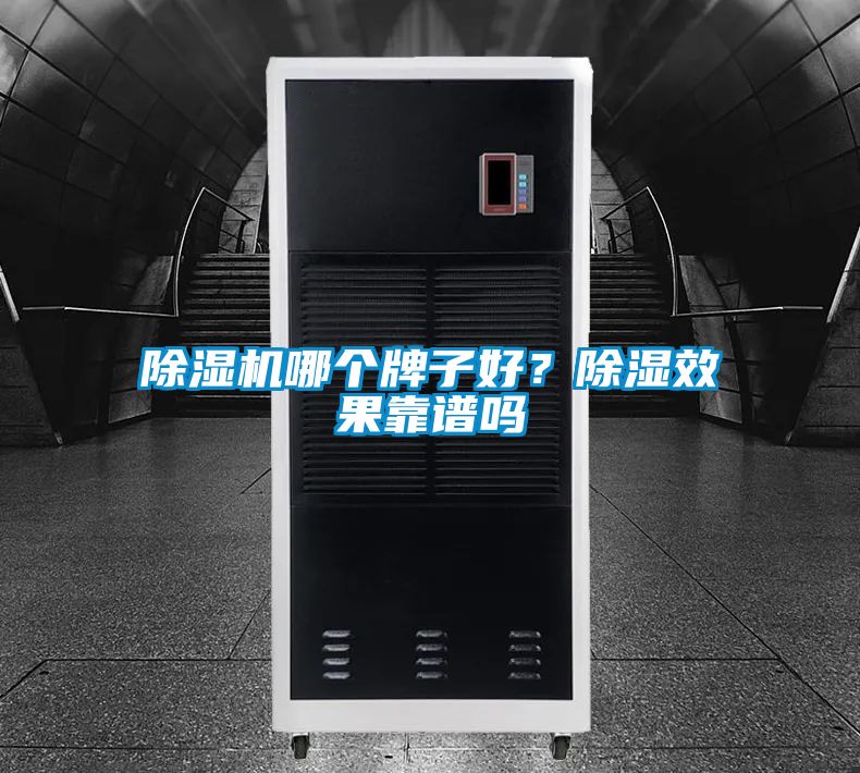 除濕機哪個牌子好？除濕效果靠譜嗎