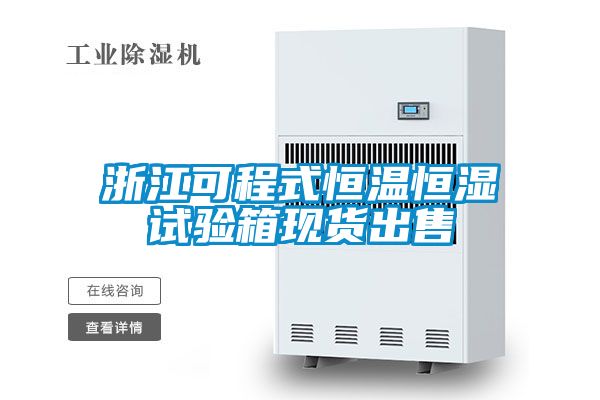 浙江可程式恒溫恒濕試驗箱現貨出售