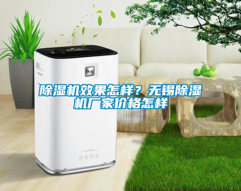 除濕機效果怎樣?無錫除濕機廠家價格怎樣