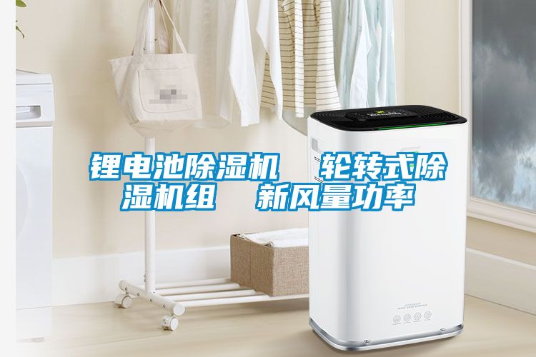 鋰電池除濕機(jī) 輪轉(zhuǎn)式除濕機(jī)組 新風(fēng)量功率