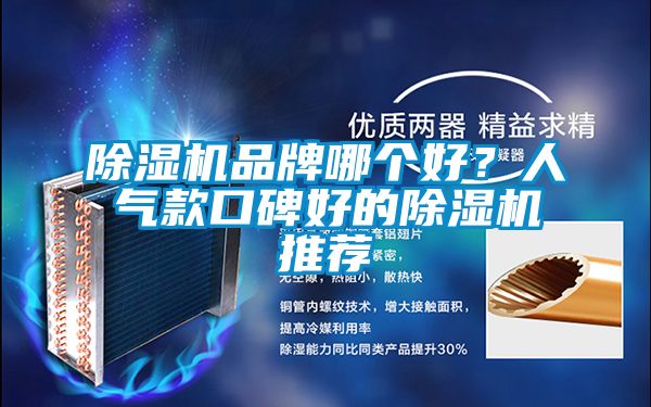 除濕機品牌哪個好?人氣款口碑好的除濕機推薦