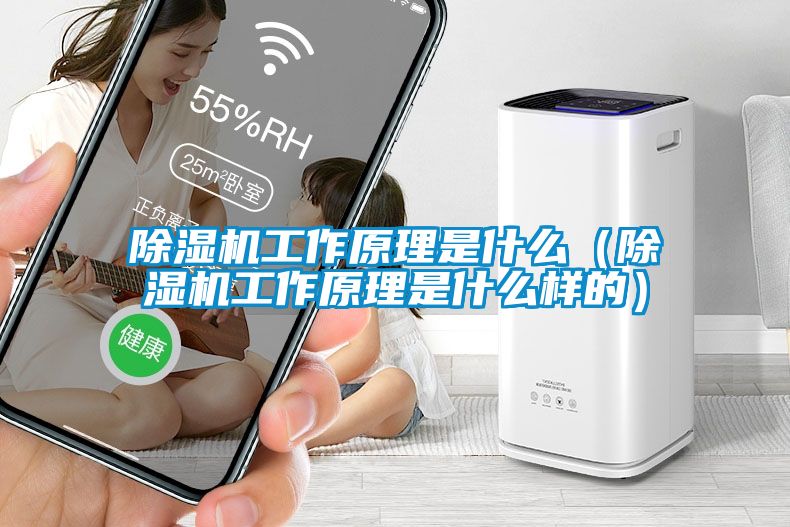除濕機工作原理是什么(除濕機工作原理是什么樣的)