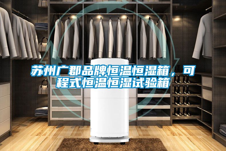 蘇州廣郡品牌恒溫恒濕箱,可程式恒溫恒濕試驗箱