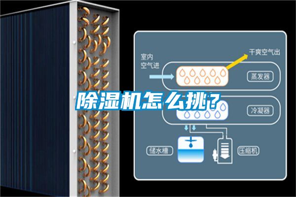 除濕機怎么挑？