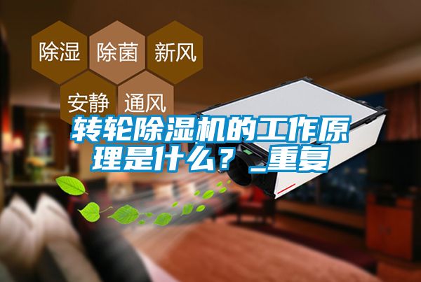 轉輪除濕機的工作原理是什么?_重復
