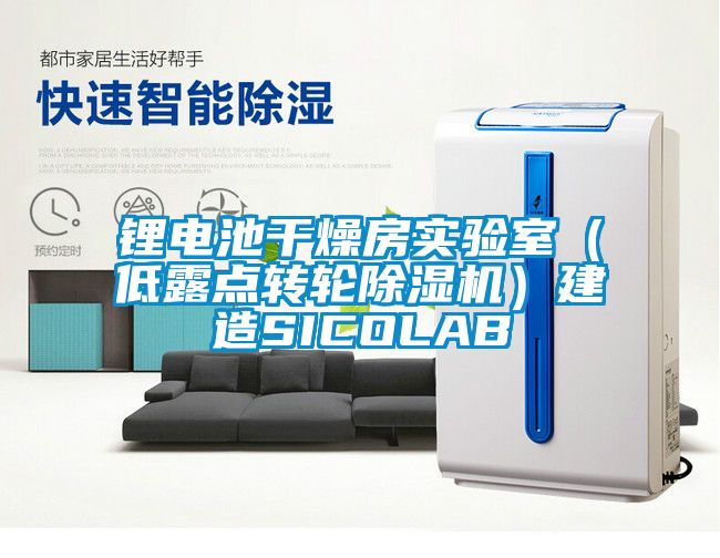 鋰電池干燥房實驗室(低露點轉(zhuǎn)輪除濕機(jī))建造SICOLAB