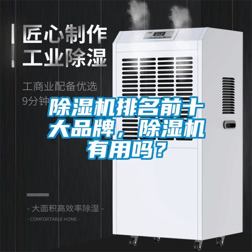 除濕機排名前十大品牌,除濕機有用嗎?