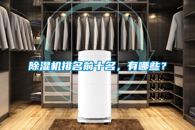 除濕機排名前十名,有哪些?