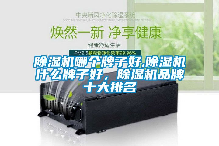 除濕機哪個牌子好,除濕機什么牌子好,除濕機品牌十大排名