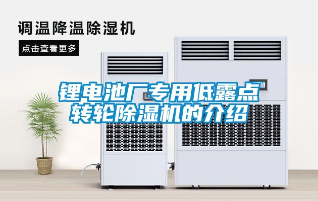鋰電池廠專用低露點轉(zhuǎn)輪除濕機(jī)的介紹