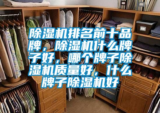 除濕機排名前十品牌，除濕機什么牌子好，哪個牌子除濕機質量好，什么牌子除濕機好