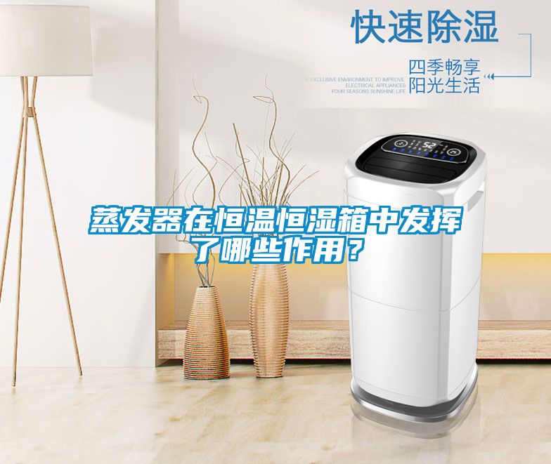 蒸發(fā)器在恒溫恒濕箱中發(fā)揮了哪些作用?