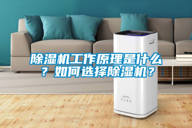 除濕機工作原理是什么?如何選擇除濕機?