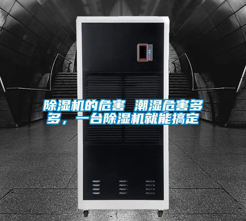 除濕機的危害 潮濕危害多多,一臺除濕機就能搞定