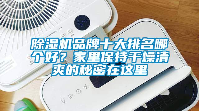 除濕機品牌十大排名哪個好？家里保持干燥清爽的秘密在這里