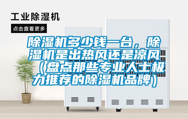 除濕機多少錢一臺,除濕機是出熱風還是涼風(盤點那些專業人士極力推薦的除濕機品牌)
