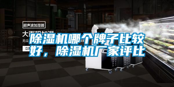 除濕機哪個牌子比較好,除濕機廠家評比