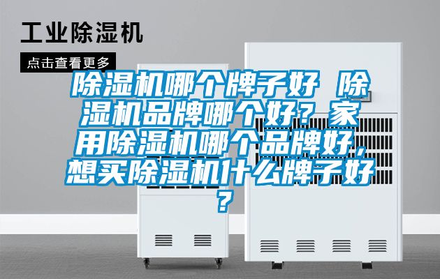 除濕機哪個牌子好 除濕機品牌哪個好?家用除濕機哪個品牌好,想買除濕機什么牌子好?
