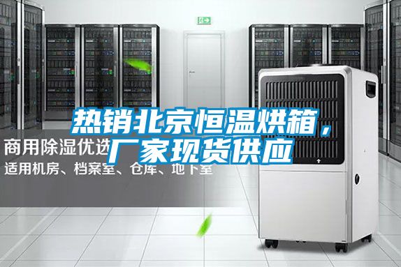 熱銷北京恒溫烘箱,廠家現貨供應