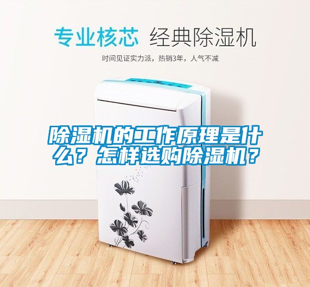 除濕機的工作原理是什么?怎樣選購除濕機?