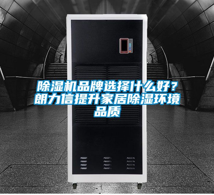 除濕機品牌選擇什么好？朗力信提升家居除濕環境品質