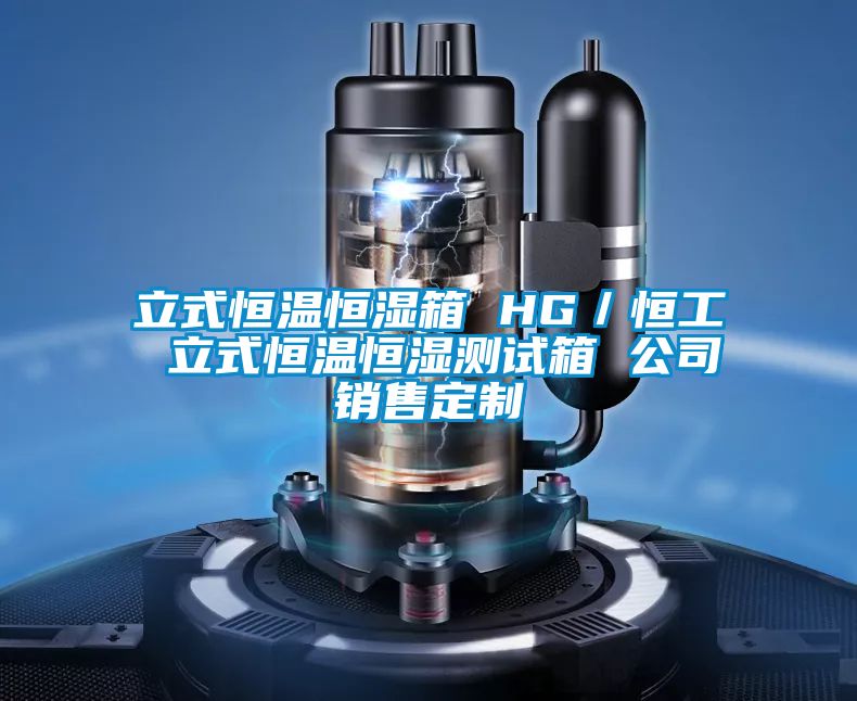 立式恒溫恒濕箱 HG/恒工 立式恒溫恒濕測試箱 公司銷售定制