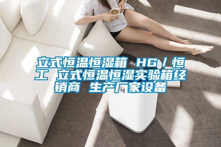 立式恒溫恒濕箱 HG/恒工 立式恒溫恒濕實驗箱經銷商 生產廠家設備