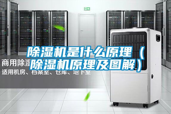 除濕機是什么原理(除濕機原理及圖解)