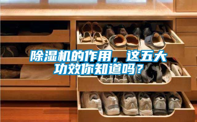 除濕機的作用,這五大功效你知道嗎?
