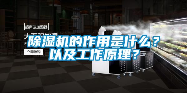 除濕機的作用是什么?以及工作原理?