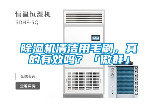 除濕機清潔用毛刷,真的有效嗎?「傲群」
