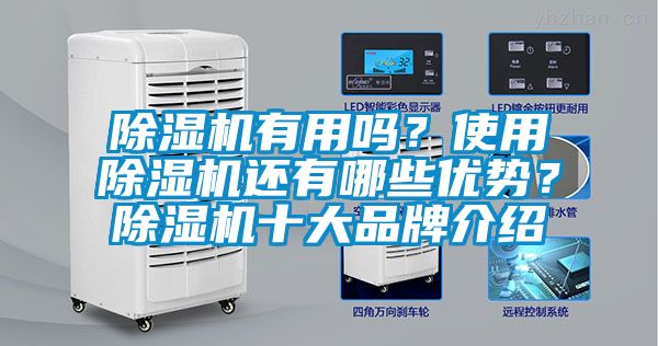 除濕機有用嗎？使用除濕機還有哪些優勢？除濕機十大品牌介紹