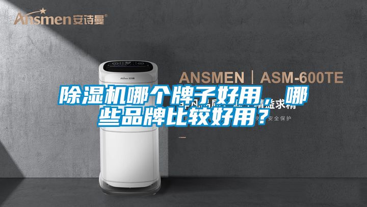 除濕機哪個牌子好用,哪些品牌比較好用?