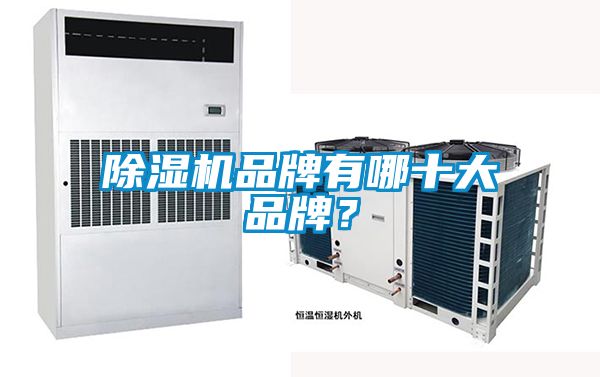 除濕機品牌有哪十大品牌？