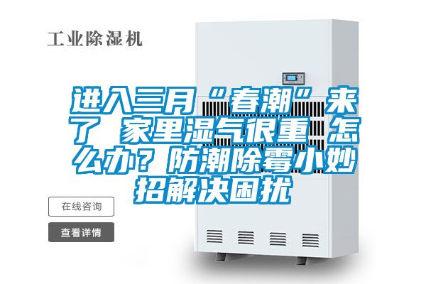進(jìn)入三月“春潮”來了 家里濕氣很重 怎么辦?防潮除霉小妙招解決困擾