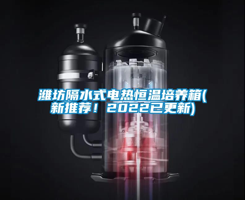 濰坊隔水式電熱恒溫培養(yǎng)箱(新推薦!2022已更新)