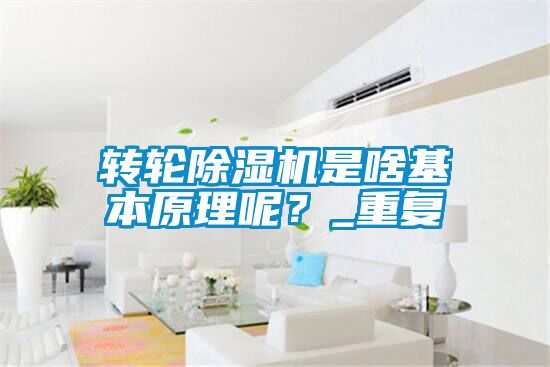 轉輪除濕機是啥基本原理呢?_重復