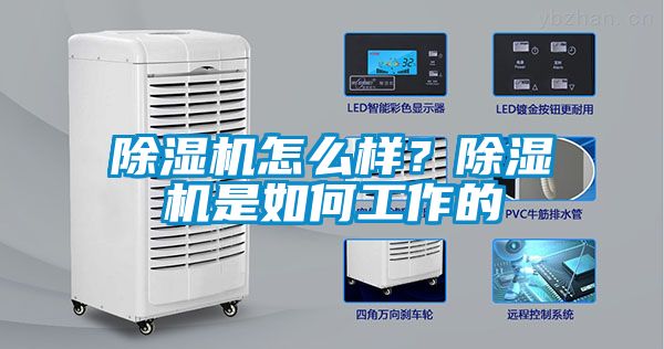 除濕機怎么樣？除濕機是如何工作的