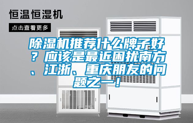 除濕機(jī)推薦什么牌子好?應(yīng)該是最近困擾南方、江浙、重慶朋友的問題之一!