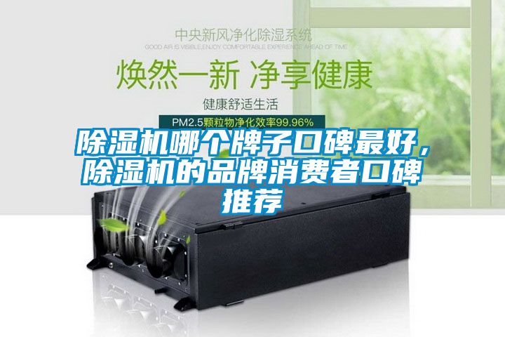 除濕機哪個牌子口碑最好，除濕機的品牌消費者口碑推薦