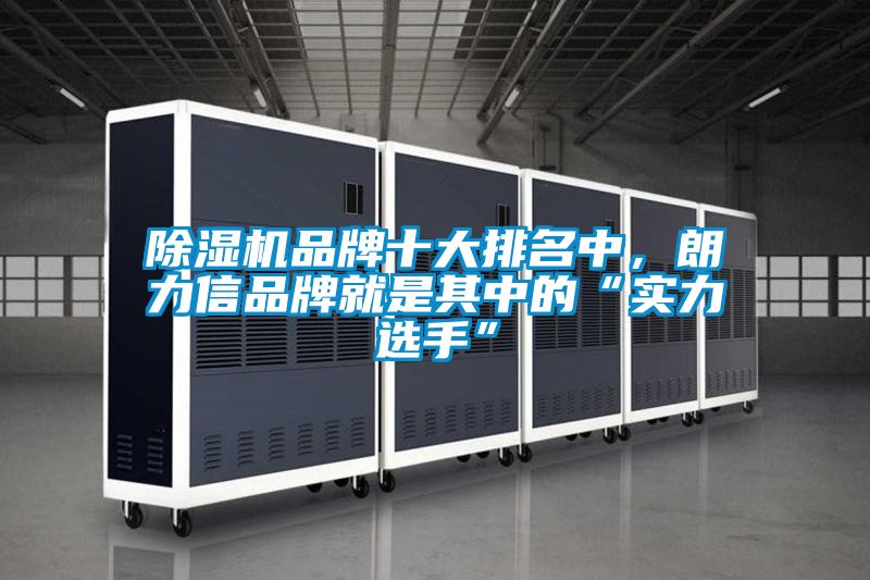 除濕機品牌十大排名中，朗力信品牌就是其中的“實力選手”