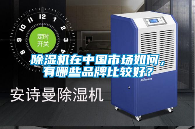 除濕機在中國市場如何,有哪些品牌比較好?