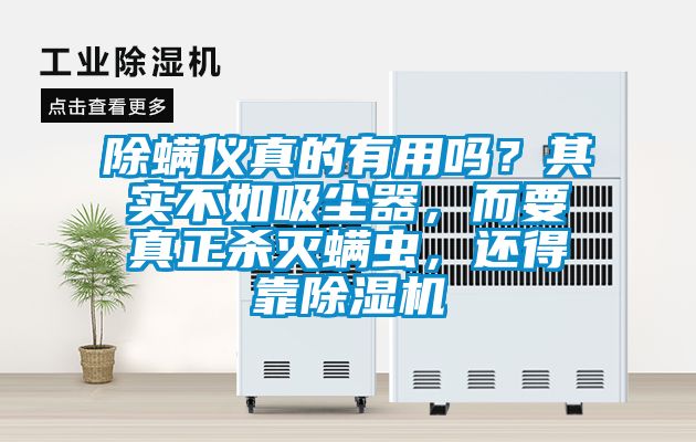 除螨儀真的有用嗎?其實不如吸塵器,而要真正殺滅螨蟲,還得靠除濕機