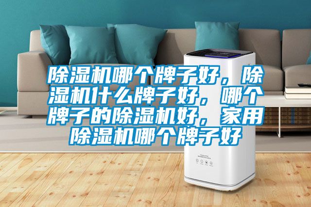 除濕機哪個牌子好，除濕機什么牌子好，哪個牌子的除濕機好，家用除濕機哪個牌子好